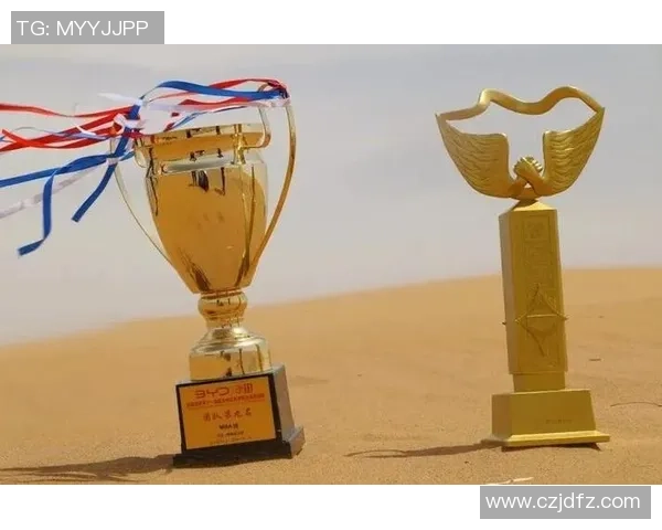 头像兄弟足球明星男的传奇故事与荣耀时刻揭秘